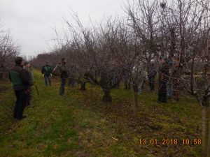 Praktische Unterweisung