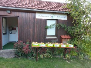 Eine kleine Obstsortenausstellung